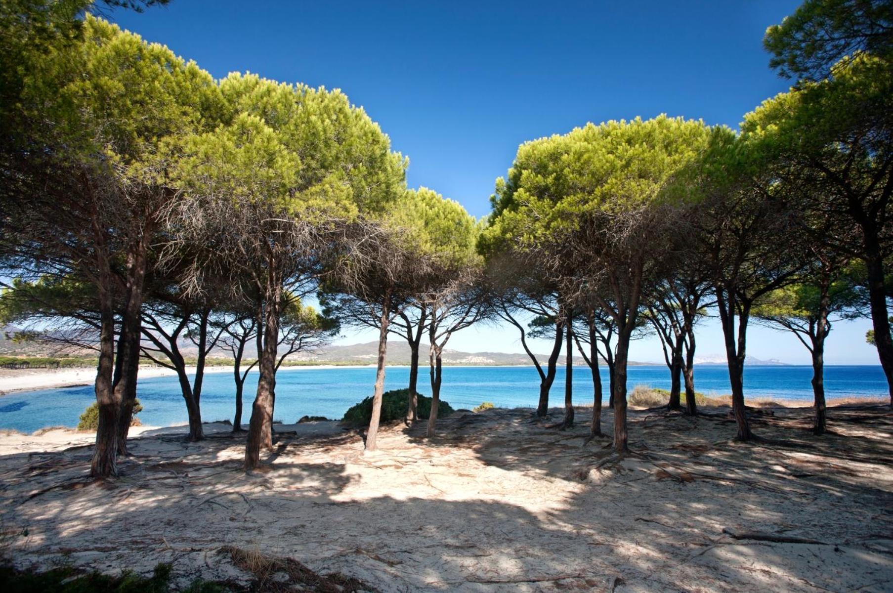 Villetta 1.2 Km Dalla Spiaggia Budoniaffitti Tanaunella Exterior photo